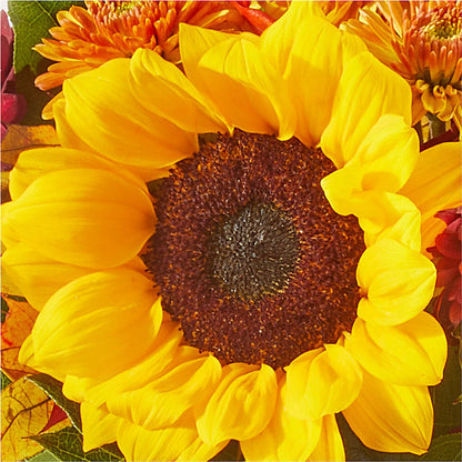 Sunny Side Bouquet –  Willow Blooms Floral, Marlin TX