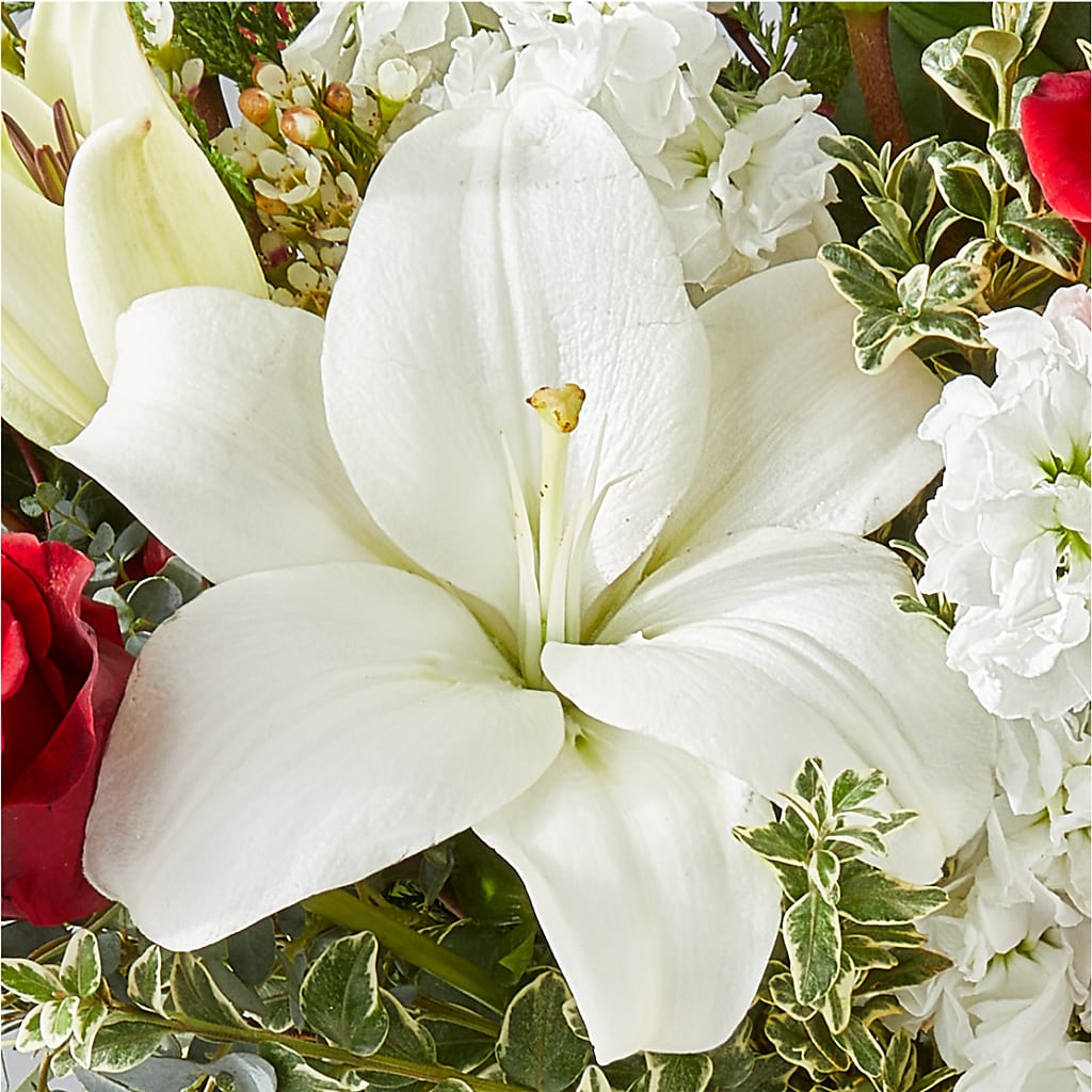 Twinkle Lights Bouquet –  Willow Blooms Floral, Marlin TX