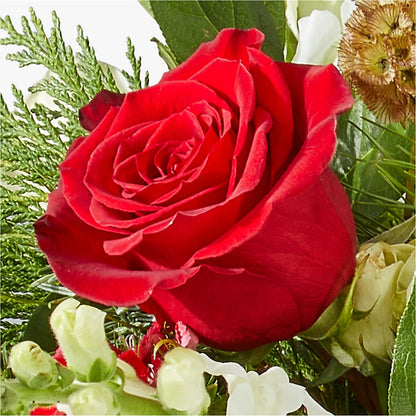Deck the Halls Bouquet –  Willow Blooms Floral, Marlin TX