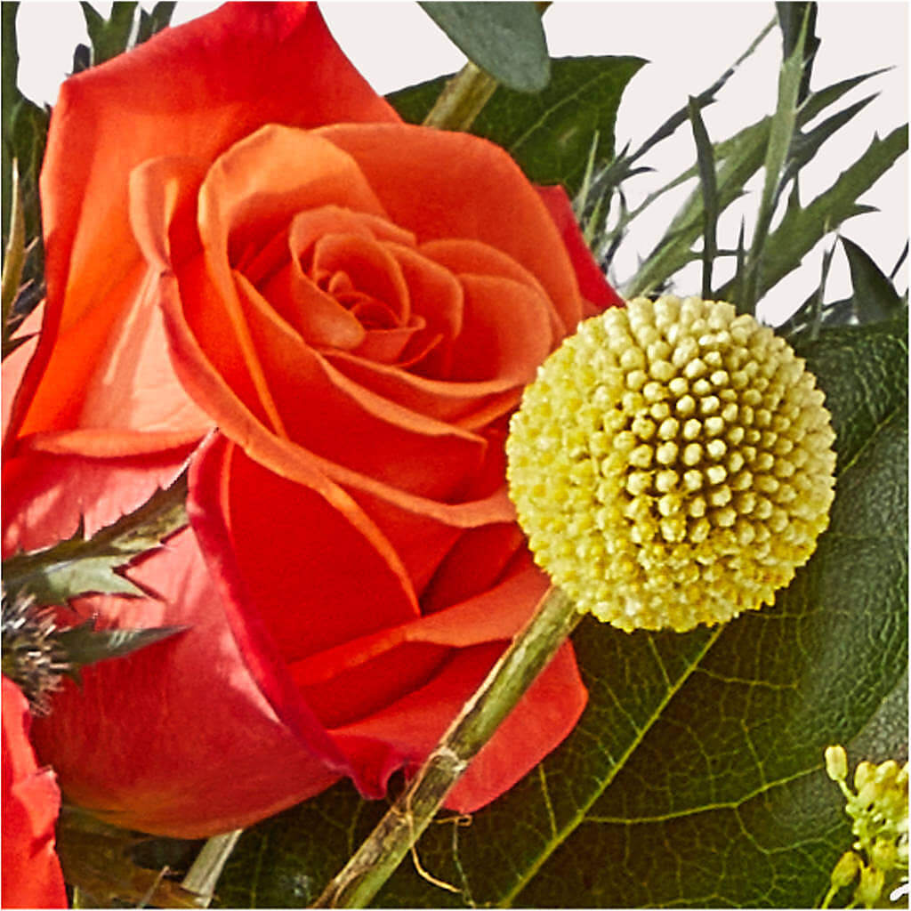 Disco Bouquet –  Willow Blooms Floral, Marlin TX