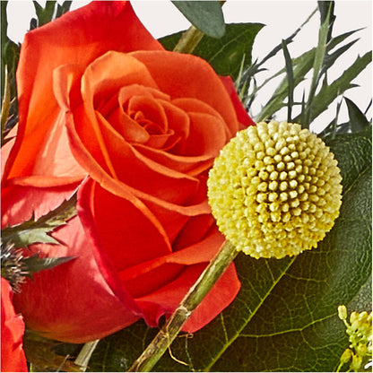 Disco Bouquet –  Willow Blooms Floral, Marlin TX