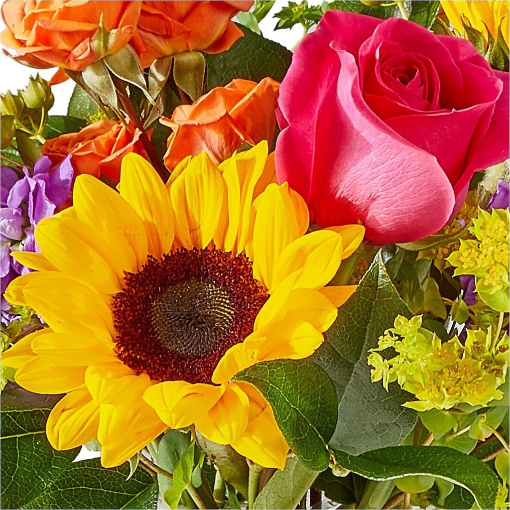 Vibrant Greetings Bouquet –  Willow Blooms Floral, Marlin TX