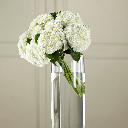 White Hydrangea Hand-Tied Bouquet –  Willow Blooms Floral, Marlin TX